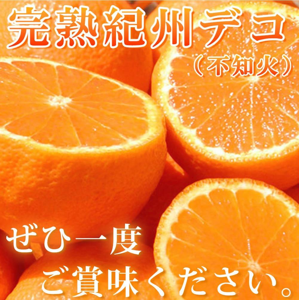 完熟紀州デコ(不知火) 約3kg　果肉プリプリ♪【2025年2月下旬以降発送】【先行予約】【UT42w】AN016_イメージ4