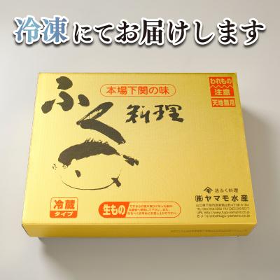 ふるさと納税 下関市 ふぐ 刺身 セット 5~6人前 160g 冷凍 FR001 |  | 02