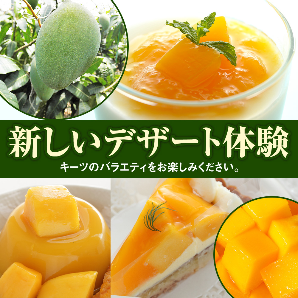 【2026年発送】南風原農園　丹精込めた「キーツマンゴー」1.5kg_イメージ4
