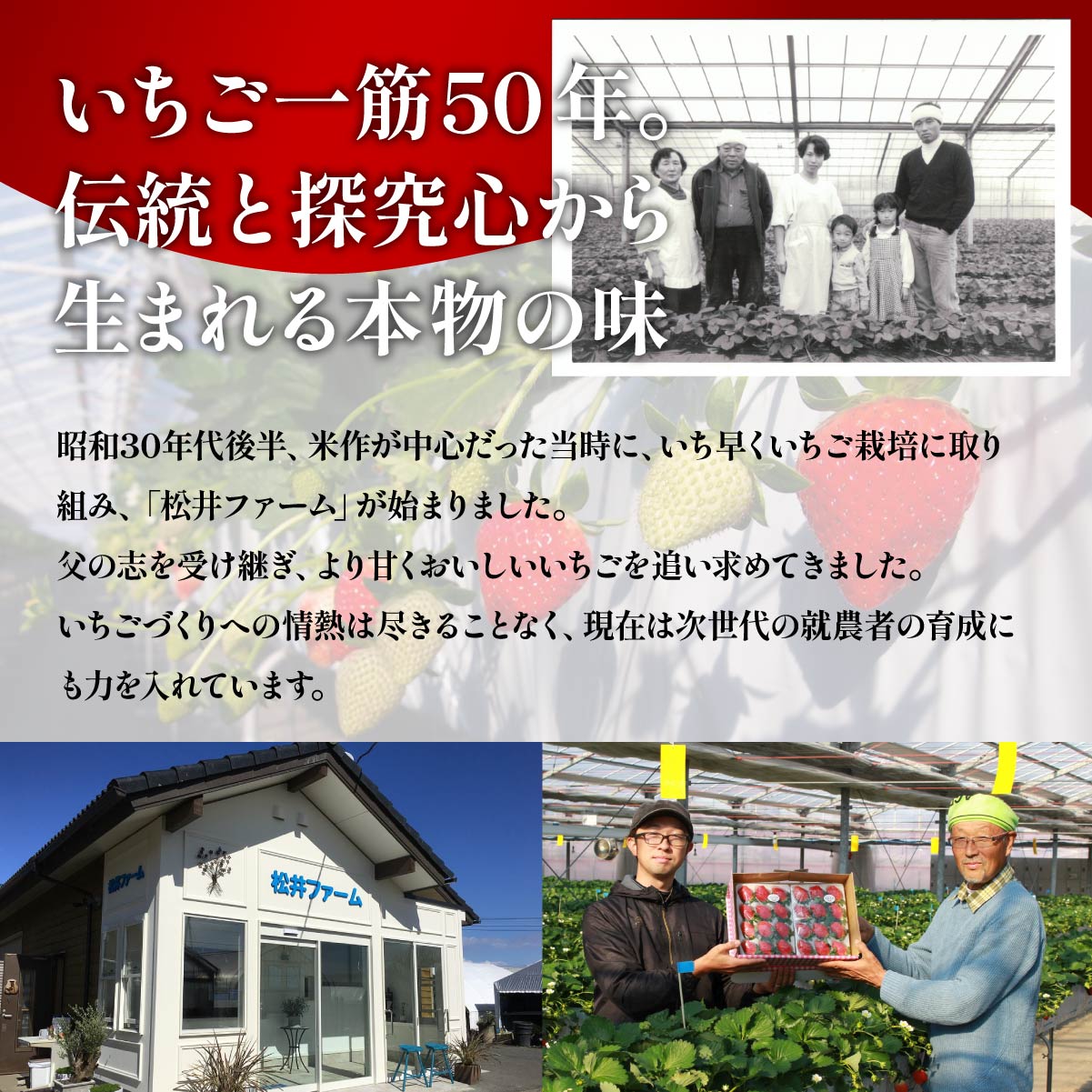 【2026年 先行予約】前橋市産いちご「やよいひめ」贈答用化粧箱入り