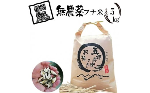 【令和7年産・白米5kg（農薬不使用米）】フナで育てた「五郎兵衛さんのお米」＜2025年10月初旬以降順次配送＞ 長野県 信州 先行予約 新米 こしひかり【五郎兵衛米 米 コメ 白米 精米 お米 こめ おこめ 備蓄品 仕送り おすそ分け 備蓄米 コシヒカリ こしひかり 長野県 佐久市 】