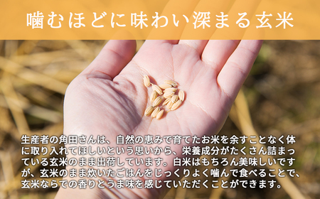 【1111】＜令和6年産新米＞北海道厚真町産　農薬不使用・自然栽培の角田玄米　5kg（ななつぼし)定期便3ヵ月コース