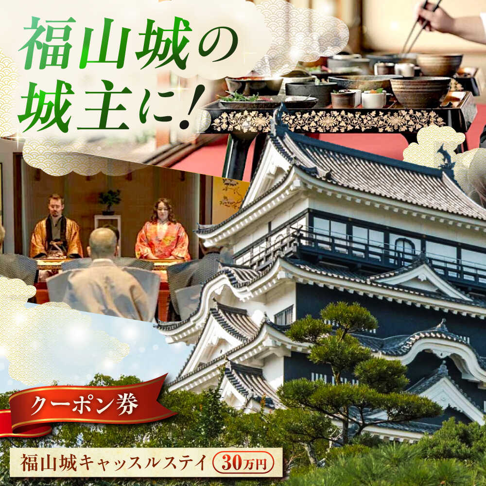 【ふるさと納税】福山城キャッスルステイクーポン（30万円分） | 宿泊 ペア宿泊券 トラベル お城 城泊 旅 旅行 広島県 福山市