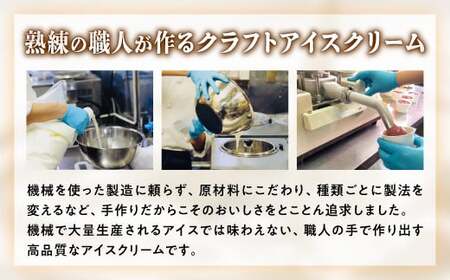 パフェアイス 16個セット_B023-1444-14