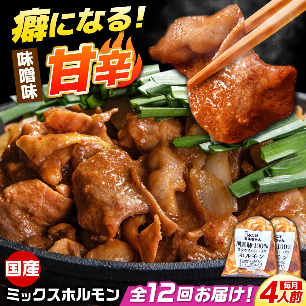 【ふるさと納税】【12回定期便】 「元祖みたけとんちゃん」 昔ながらのミックスホルモン 2袋 / モツ もつ レバー ホルモン / 御嵩町 / 藤よし[AVAA084]