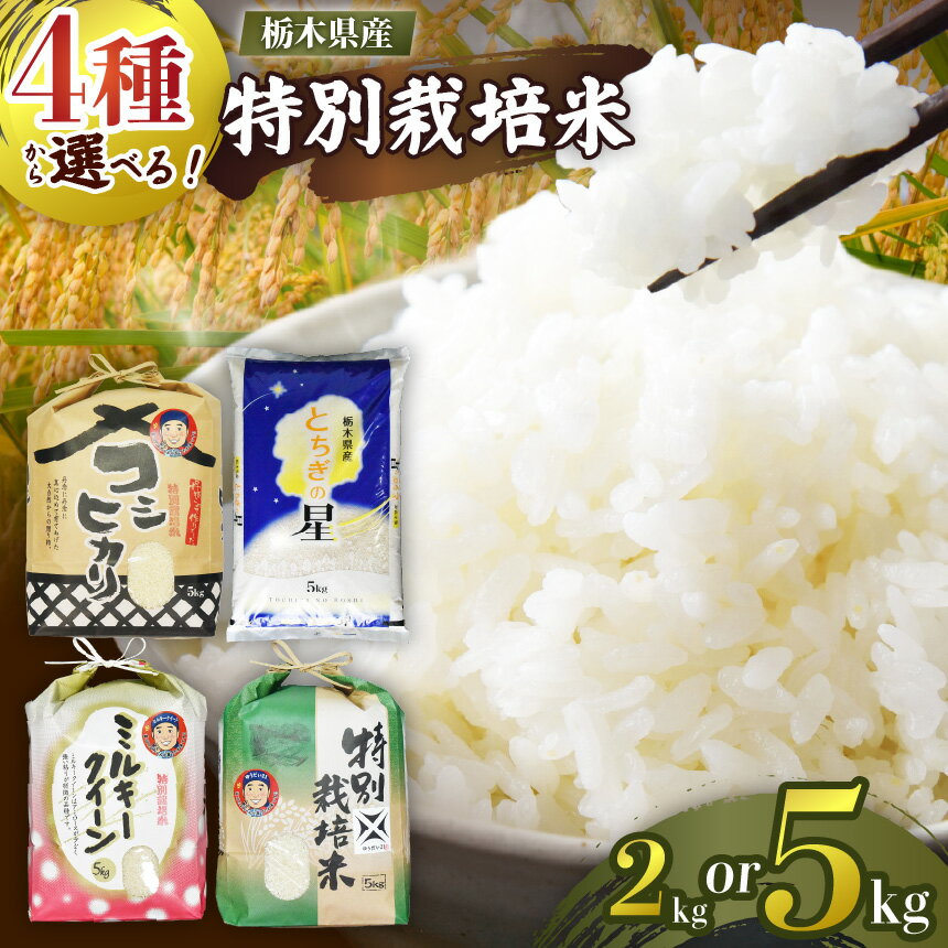【ふるさと納税】選べる お米 こしひかり とちぎの星 ゆうだい21 ミルキークイーン 【2026年 先行予約】定期便 数量 限定 大人気 | 2kg 5kg | お米 米 こめ 白米 産地直送 美味しい おいしい お弁当 リピート 農家直送 備蓄 用 栃木県産 矢板市産 栃木県 矢板市