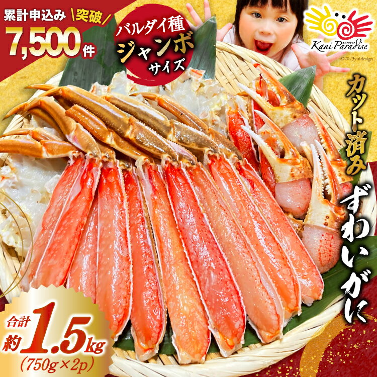 【ふるさと納税】 カット済 ずわいがに むき身セット 総重量1.5kg(750g×2p) かにしゃぶ かに鍋 正味重量1.2kg [カネダイ 宮城県 気仙沼市 20564319] かに カニ ずわいがに ずわい 蟹 棒 魚介 海鮮 ポーション 感想