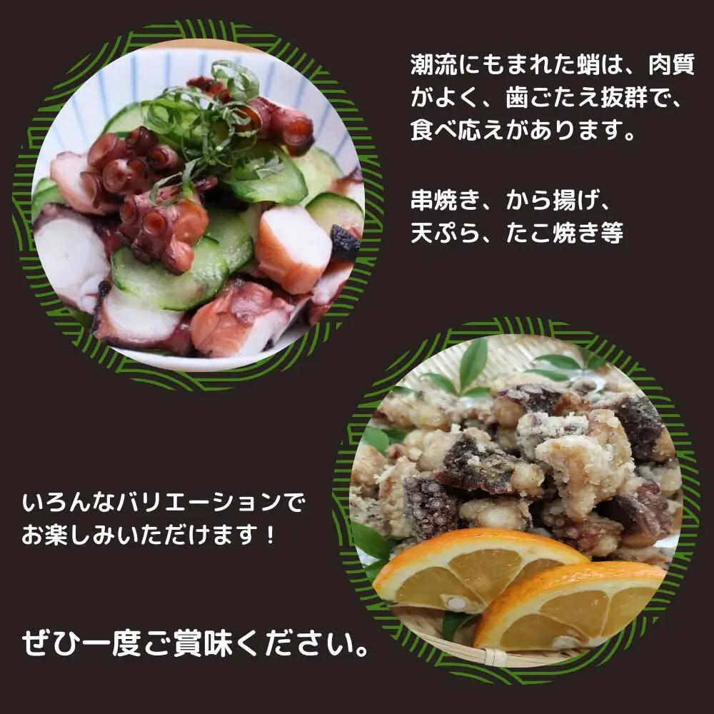 船上活締め！真ダコボイルぶつ切り(200g×5P) | タコ 蛸 たこ