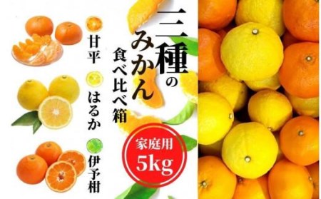 【三種のみかん食べ比べ箱】甘平・はるか・宮内伊予柑 （家庭用）約5kg　＜2月から順次発送＞ みかん 柑橘 フルーツ 蜜柑 果物【PT020_x】