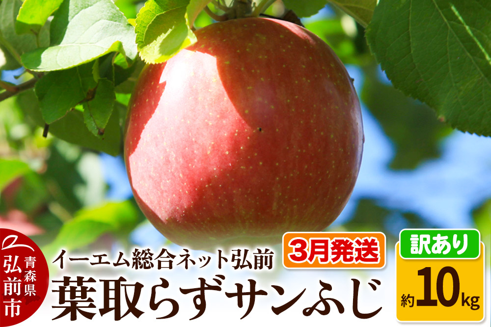 
            りんご【3月発送】【訳あり】葉取らず サンふじ 約10kg 糖度 13度以上 EMりんご
          