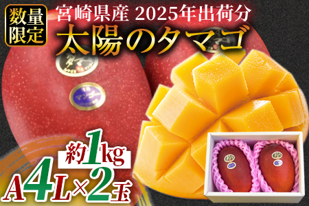 予約受付！数量限定！【2025年発送】＜宮崎県産 太陽のタマゴ A等級 4Lサイズ×2玉（合計約1kg）＞2025年4月下旬〜6月末迄に順次出荷【 果物 青果 フルーツ 太陽のタマゴ 太陽のたまご 完熟マンゴー マンゴ― 期間限定 先行予約 ギフト 贈答用 送料無料 】