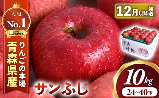 りんご【サンふじ】 約10kg（24～40玉）【2026年産・先行予約】★2026年12月下旬～2027年1月上旬頃発送予定★ 青森県三戸町産 りんご 林檎 フルーツ 果物 果実 青森 三戸 高級 贈答 ギフト プレゼント 産地直送 農家直送 青森県三戸町 AK-25-073