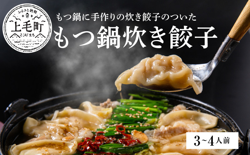 
            ぶどうの樹　九州産和牛マル腸　もつ鍋炊き餃子【3～4人前】KG0204
          