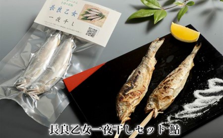 鮎 長良乙女 一夜干し 干物 鮎【冷凍】