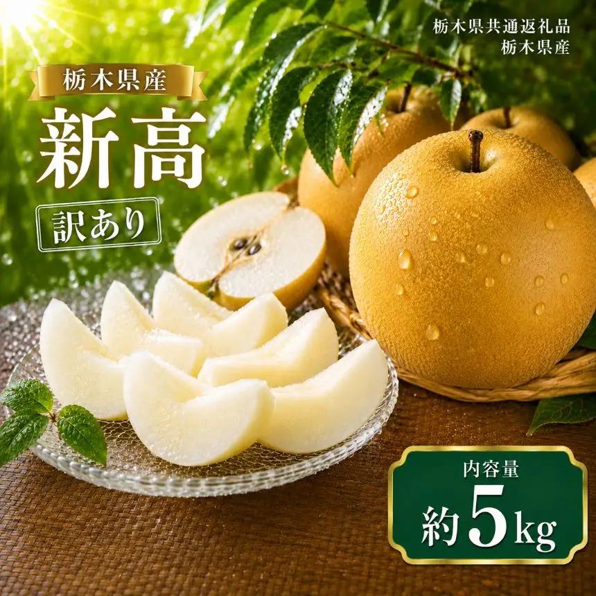 梨 訳ありサイズランダム 新高 5kg｜栃木県共通返礼品 栃木県産 栃木県 那珂川町