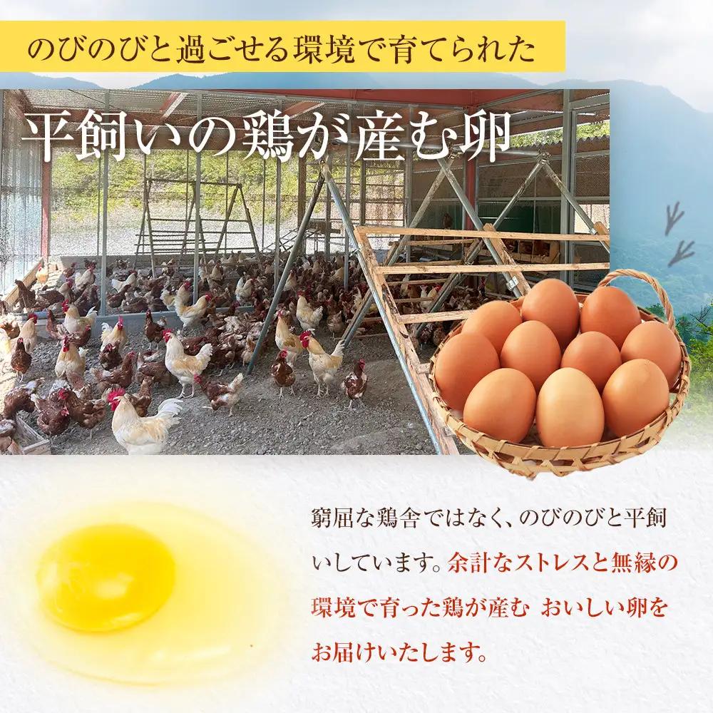 【定期便6か月】国産飼料にこだわった鶏が産む安全安心の 『レモン色たまご』60個（55個＋割れ保証5個） ［Hn11］