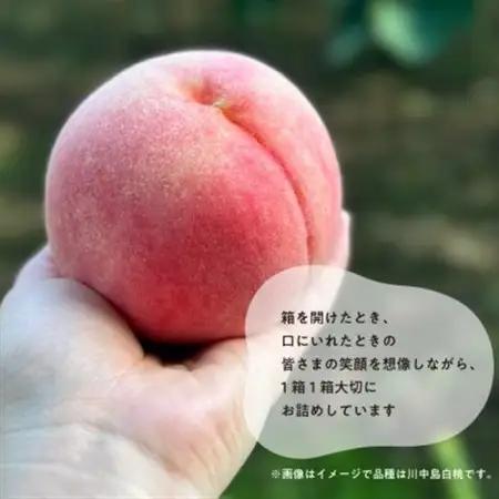 【発送月固定定期便】桃好きの為の桃3回便!(上級品5-7玉入)(岡山産)全3回【配送不可地域：離島】【4061981】