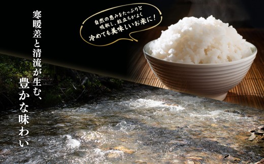 あきたこまち 10kg 【秋田稲穂】 ●2026年10月上旬発送開始 令和8年産 新米 米 白米 精米 単品 単一原料米 国産米 ブランド米 もっちり 県産米 お米 こめ コメ 秋田県 あきた 鹿角市