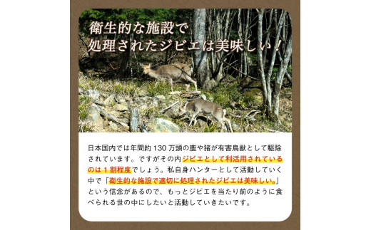 鹿肉パテ 600g (6パック) 低温熟成 肉 ジビエ テリーヌ 鹿肉 香辛料 綾部市 京都府 冷凍便 加工品 冷凍 京都 綾部 おつまみ おかず 晩酌 加工品 天然 国産 おすすめ 人気 リピーター 小分け 簡単 料理