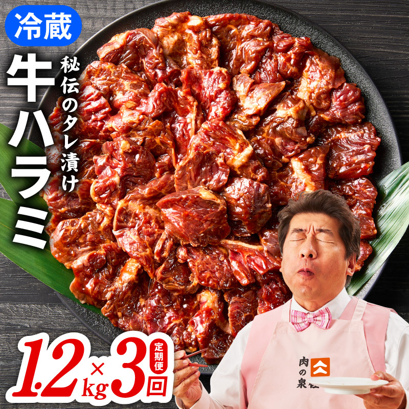 【冷蔵配送】牛ハラミ肉 焼肉用 味付け 定期便 1.2kg（300g×4P）×全3回【定期便 お楽しみ 焼肉 ていきびん 小分け 味付け 焼くだけ 小分け BBQ やきにく 数量限定】 099Z564
