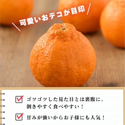 3L～L 18～24玉、2月～3月に発送　 【先行受付】愛され柑橘 デコポン【B251】