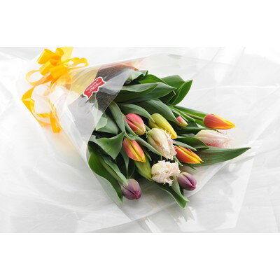 【ふるさと納税】チューリップ切花(12本)【1201782】