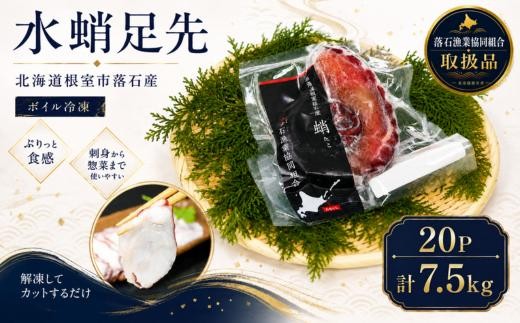 
                  E-20003 【北海道根室産】ボイル水たこ足先20P(計7.5kg)
                