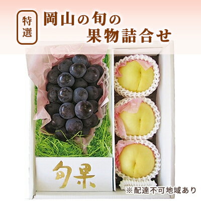 【ふるさと納税】桃 ぶどう 2026年 先行予約 特選 岡山の旬の果物詰合せ-3 もも 葡萄 岡山県産 国産 フルーツ 果物 ギフト 岡山白桃 大玉 3玉 ニューピオーネ ブドウ お取り寄せ 季節の果物 　お届け：2026年8月上旬～2026年8月下旬