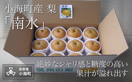
                  小海産梨「南水」
                
