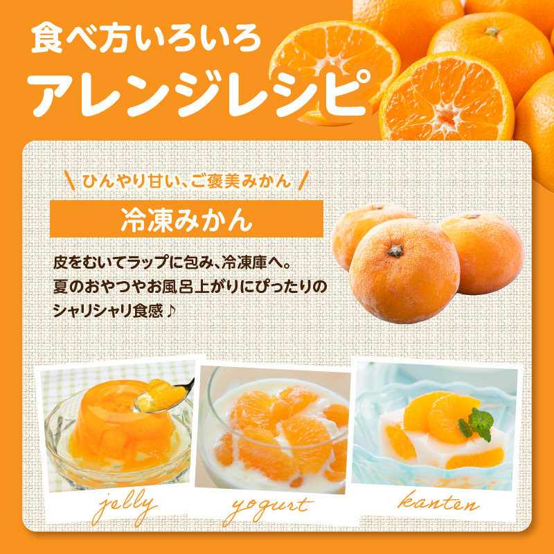 【先行受付】九州・福岡フルーツ王国八女 産地直送！旬のみかん 約5kg【2026年10月～12月頃発送】＜配送不可：北海道・沖縄・離島＞ みかん 旬 早生 レギュラー No.1 産地直送 福岡県 八女