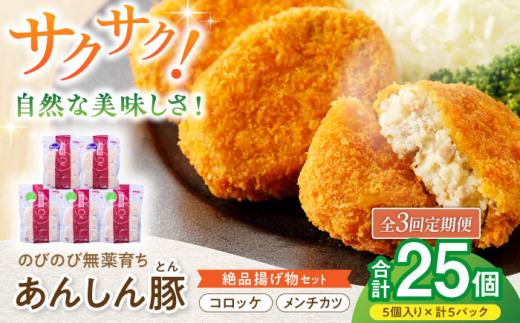 【3回定期便】あんしん豚 コロッケ・メンチカツセット 豚肉 ロース 国産 白川町 / 藤井ファーム [AWAF022]