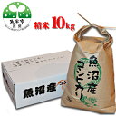 【ふるさと納税】【令和6年産】【農薬・化学肥料栽培期間中不使用・生態系保全・再生可能エネルギー・エコファーマー・生産工程管理】魚沼産コシヒカリ（精米・10kg）　お米・コシヒカリ　お届け：寄附確認後、10月より随時発送