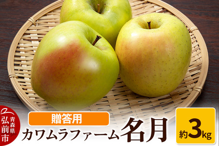 りんご【先行受付】名月 約3kg カワムラファーム 贈答用