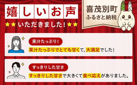 【2025年8月以降順次発送】 赤肉メロン 2kg×2玉 《喜茂別町》【Aコープようてい】 メロン メロン メロン メロン メロン メロン  [AJAK024]