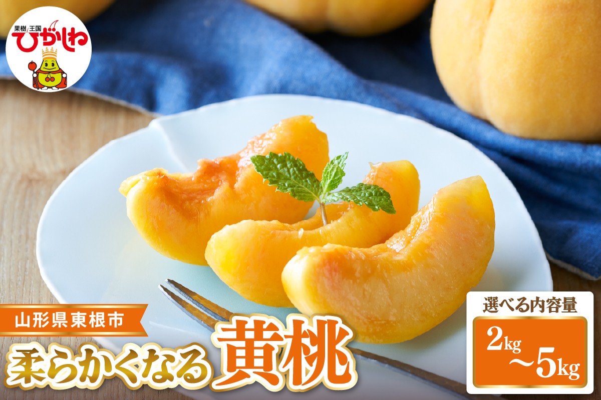 
                  【2026年産 先行受付】≪内容量が選べる≫　 東根市産黄桃　秀品 柔らかくなる桃  【約2kg・約3kg・約5kg)】ベジフルひがしね 山形県 東根市 hi104-010-o
                