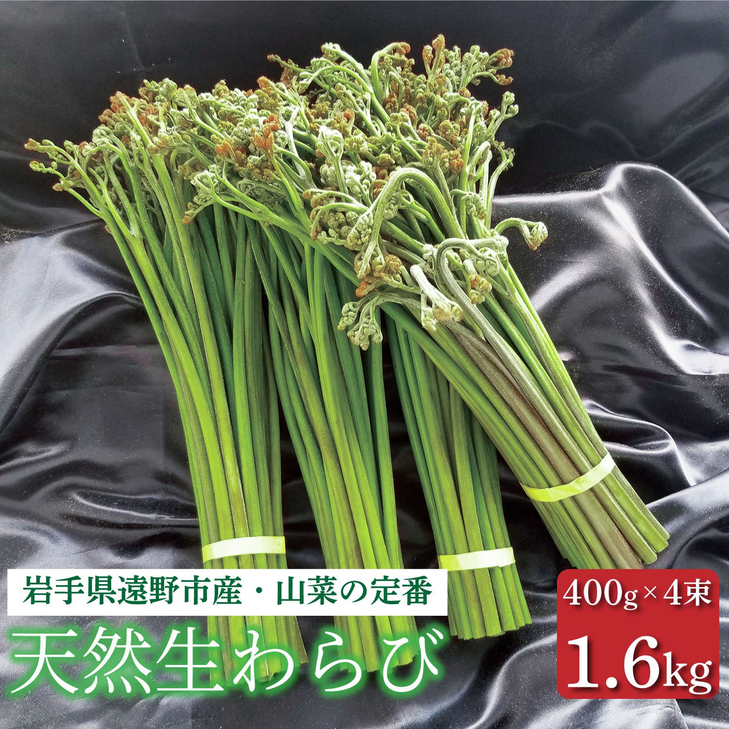
                  生わらび 1.6kg 400g×4束 天然 岩手県 遠野市 産 ワラビ 山菜 田村りんご店 期間限定 数量限定 【 先行予約 2026年5月上旬発送予定】
                