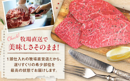 佐賀牛希少部位ステーキ300g（150g×2パック） [41ASAA066]
