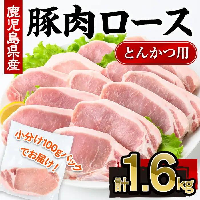 鹿児島県産 豚肉 ロース とんかつ 小分け (計1.6kg・100g×16P)【株式会社羽根】A722