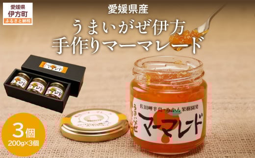 【愛媛県産】うまいがぜ伊方手作りマーマレード（200g×3個） 【 ふるさと納税 人気 おすすめ ランキング マーマレード いよかん 伊予柑 みかん ミカン 蜜柑 クリエイト伊方 愛媛県産 愛媛県 伊方町 送料無料 】 IKTI012 