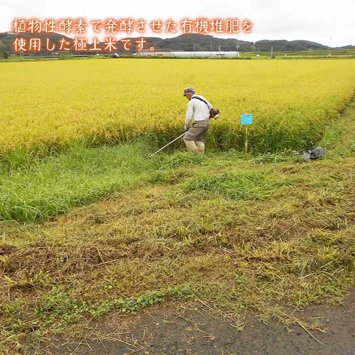酵素米 なつほのか 5kg [JDG001] 米 有機