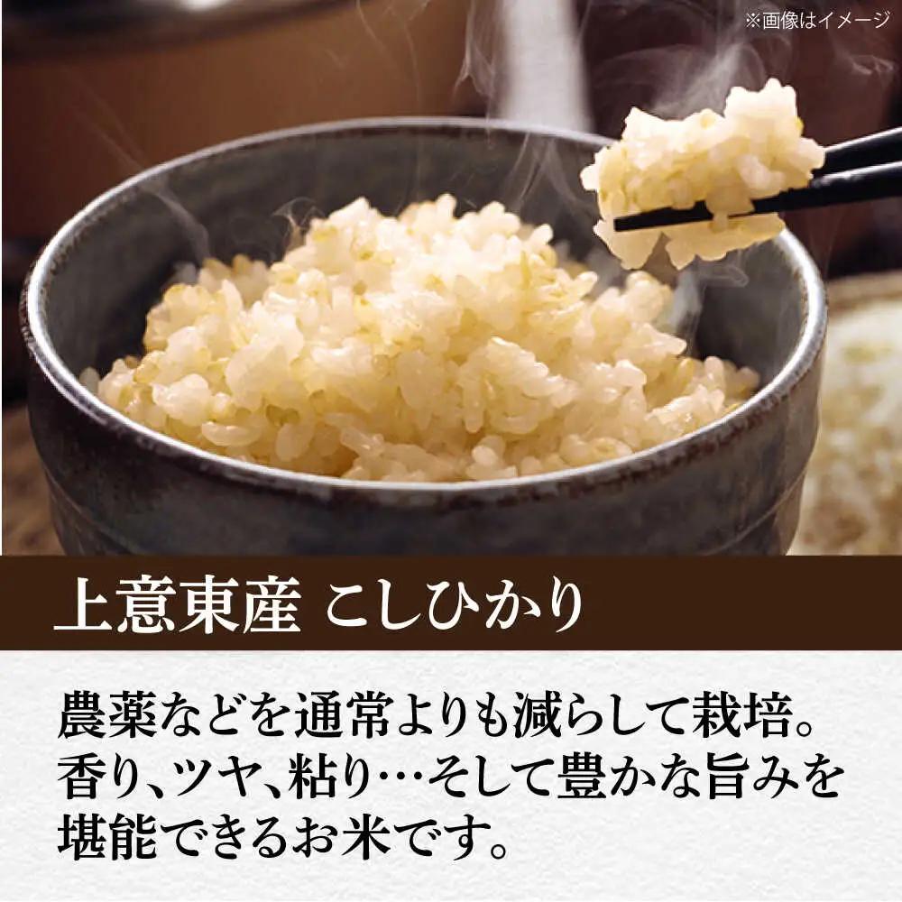 米 五ツ星お米マイスター厳選【玄米】エコ栽培米 恵の上意東産「コシヒカリ」10kg 島根県松江市/株式会社沼田米穀店[ALBU002] 米 米