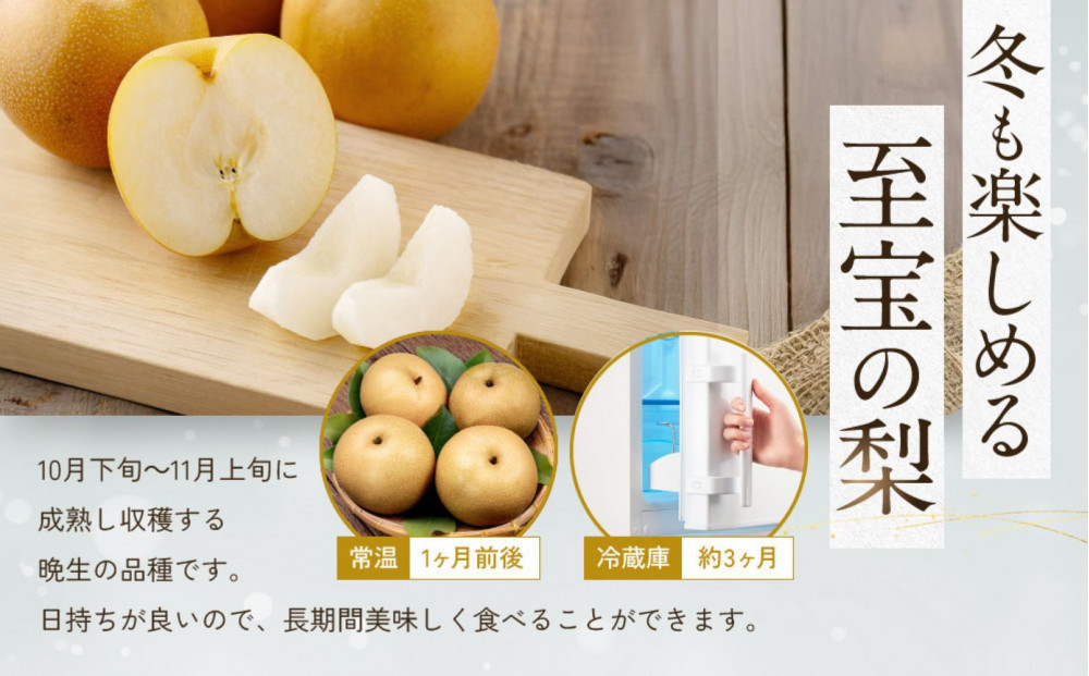 【先行予約】ギフト用 数量限定 鳥取県産”王秋梨（おうしゅうなし）” 約5kg （8～15玉）≪2026年11月中旬頃出荷≫