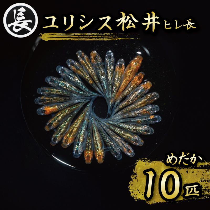 
                  めだか ユリシス 松井ヒレ長 オス メス ランダム 10匹 アクアリウム 水槽 インテリア 生物 生体 趣味 メダカ 元気なメダカ  生魚 魚 めだか 生き物 いきもの 人気魚種 イチオシ おすすめ 送料無料 死着保証 魚介 魚類 魚 初心者向け 光沢 輝く 人気品種 厳選 鑑賞 鑑賞用 繁殖 綺麗 きれい 丈夫 育てやすい 美 国産 メダカ 牧之原メダカ 静岡めだか 静岡県 牧之原市 丸長
                