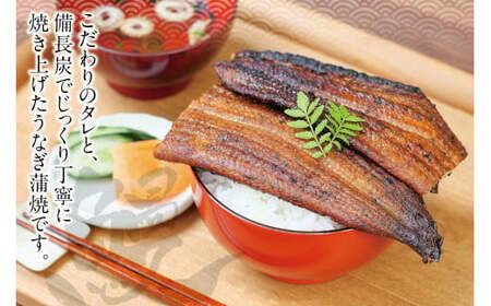 うなぎ 国産 紀州備長炭 2尾 400g うなぎ【fki301A】