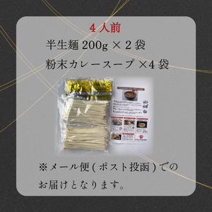 さぬきうどん カレーうどん 4人前 スープ付