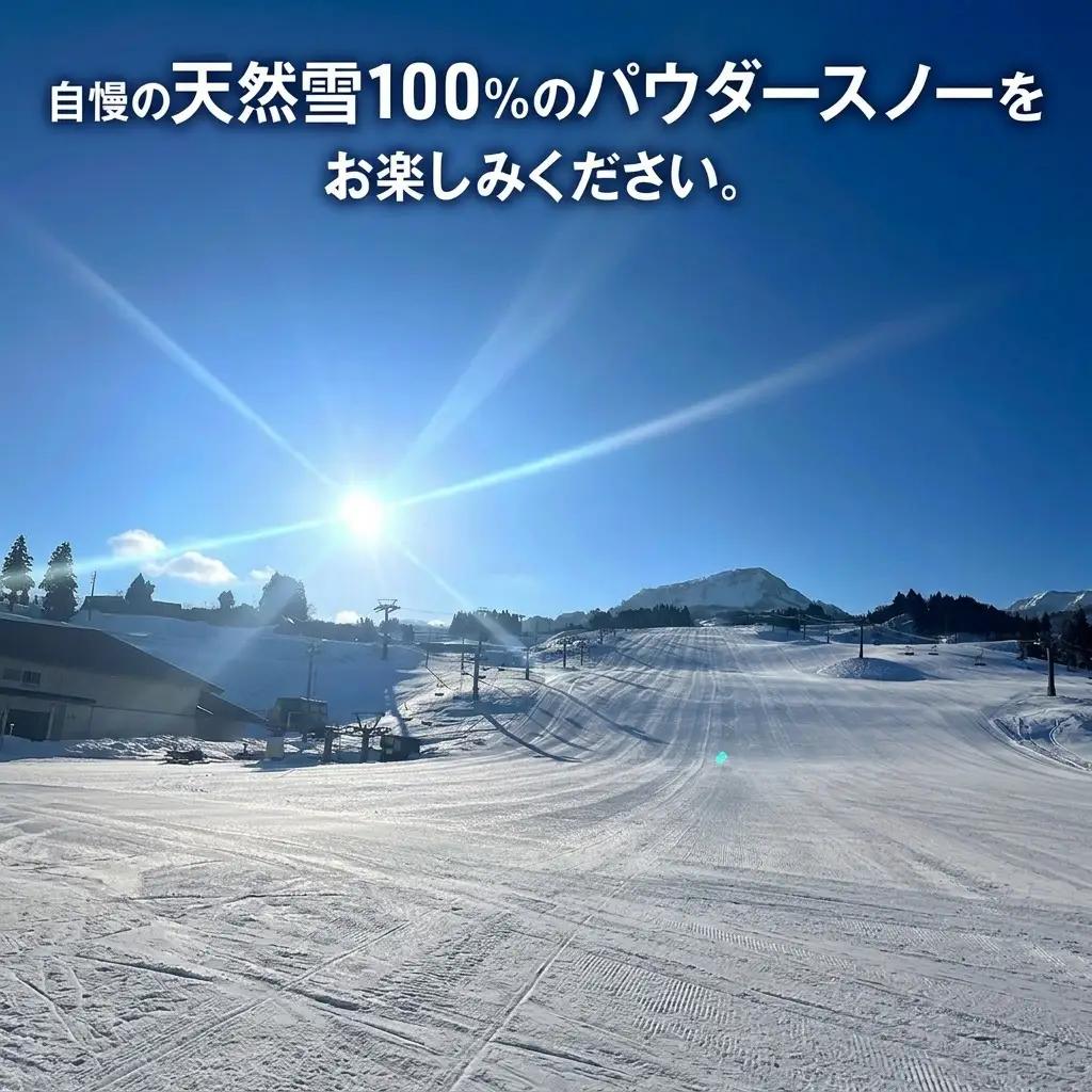 キューピットバレイ リフト1日券 温泉入場券付き リフト券