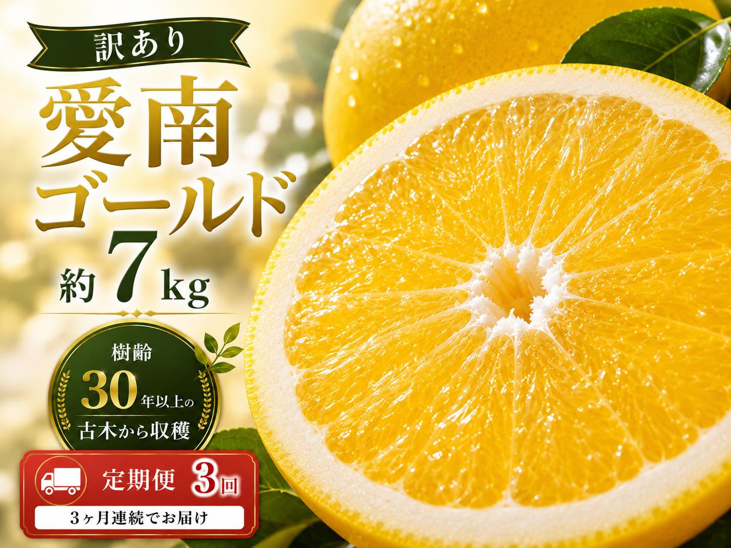 
                  定期便3回発送 先行予約 2027年発送  訳あり 愛南ゴールド（河内晩柑）3回× 約10kg みかん 蜜柑 河内晩柑 グレープフルーツ 柑橘 果物 みかん 愛媛県  フルーツ 前田ファーム 愛媛 愛南【発送期間 3月下旬～5月上旬 】(なくなり次第終了)
                