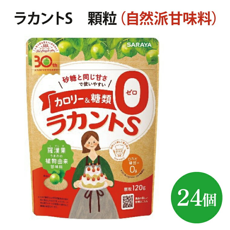 【ふるさと納税】ラカントS　顆粒　120g×24個【27006】【サラヤ SARAYA 天然素材 環境問題 SDGs】(AP109)