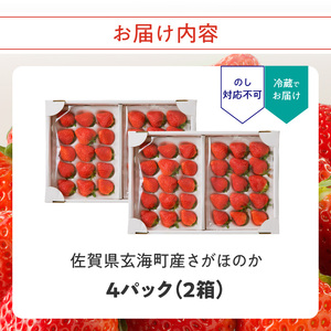 ★予約受付★渡邉農園 佐賀県玄海町産いちご「さがほのかDX」2024年1月～4月順次配送【D017】