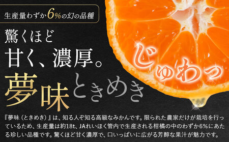 袋掛けみかん 夢味 ときめき 贈答用 熊本県産 約3kg (大or中) 柑橘《2027年1月中旬-2月中旬頃出荷》 みかん フルーツ 果物 3kg 苓北町産 熊本県 苓北町